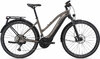 GIANT Explore E+ Pro 0 [RD Evo] metallic brown / black satin-matt-gloss L