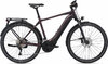 GIANT Explore E+ Pro 1 [RC Dash] rosewood / black satin-matt-gloss XL