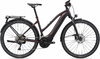 GIANT Explore E+ Pro 1 [RC Dash] rosewood / black satin-matt-gloss M